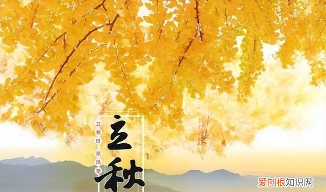 立秋后蚊子太厉害了怎么办 立秋后蚊子会变多还是变少