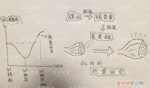 增肌会增重吗,增肌体重会增加