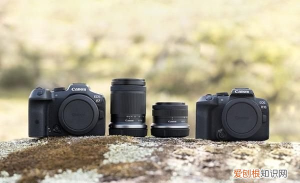 ef和rf镜头的区别,佳能r6和单反的区别