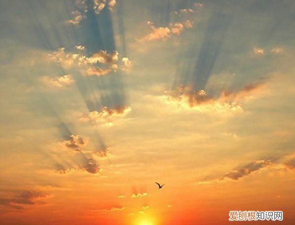 哪个星座是星座之王，什么座是十二星座之王