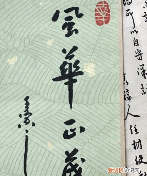 风华正茂形容什么，风华正茂是什么意思
