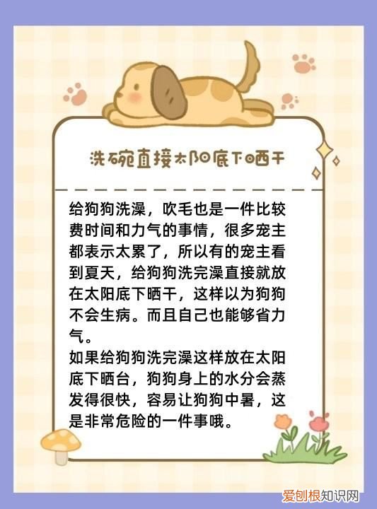 夏天给狗洗澡注意什么,给狗狗洗澡的时间和注意事项