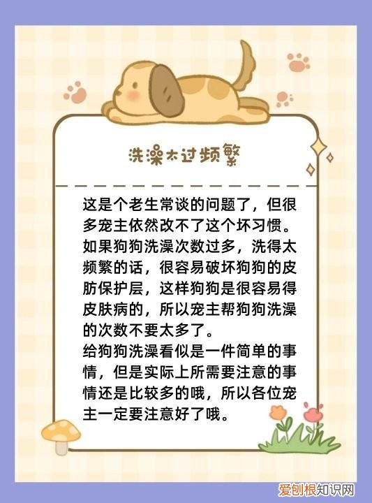 夏天给狗洗澡注意什么,给狗狗洗澡的时间和注意事项