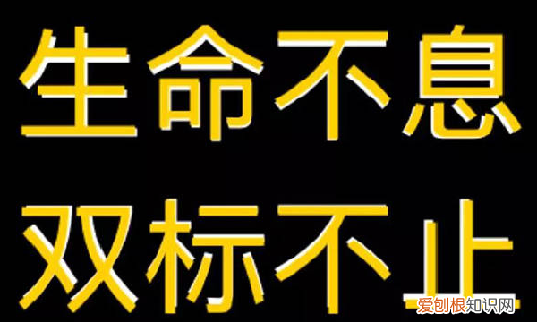 说一个人双标是什么意思