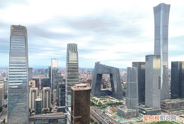 捷克狼犬在中国禁养，中国准许养捷克狼犬吗