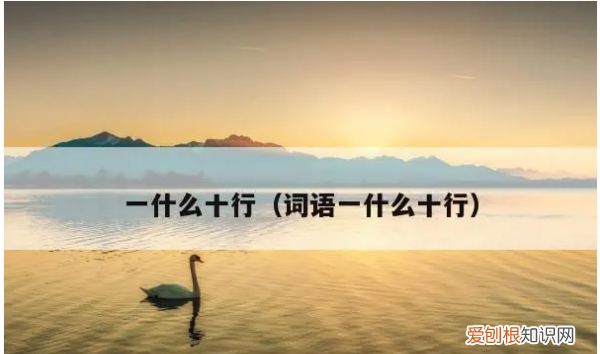 一目十行是什么意思，一目十行的意思是什么意思是什么