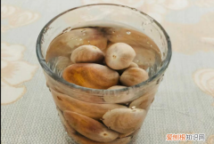 菠萝蜜种子怎么种，菠萝蜜的籽怎么种