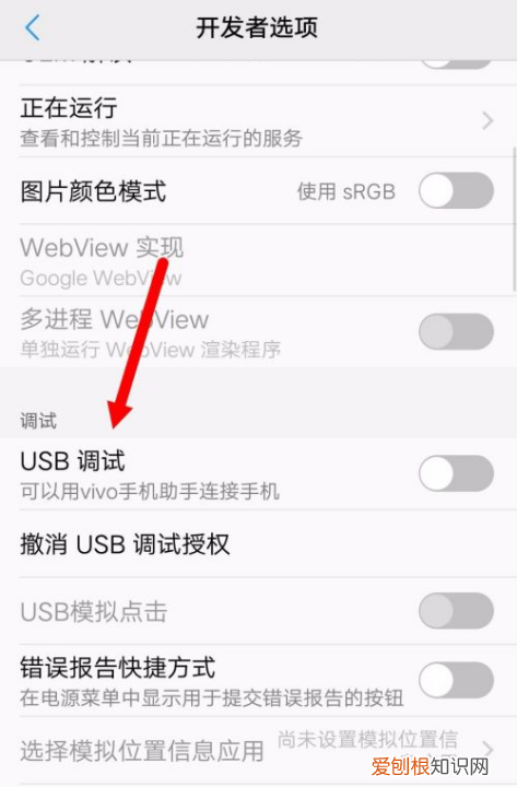 vivo手机怎么开启USB，vivo手机usb调试开关在哪