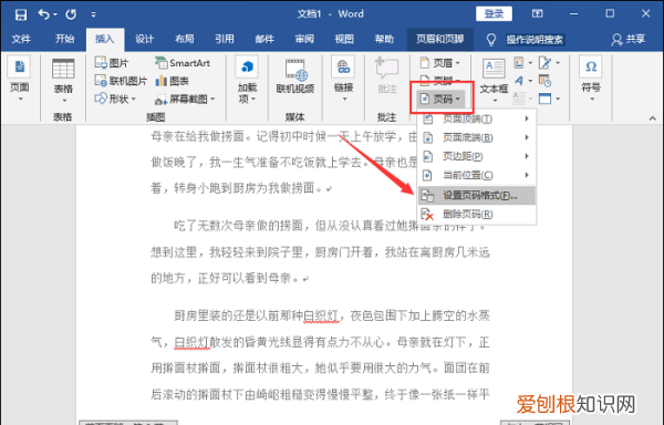 word咋的才可以修改页码
