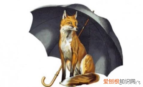 hunter雨靴为什么那么贵？