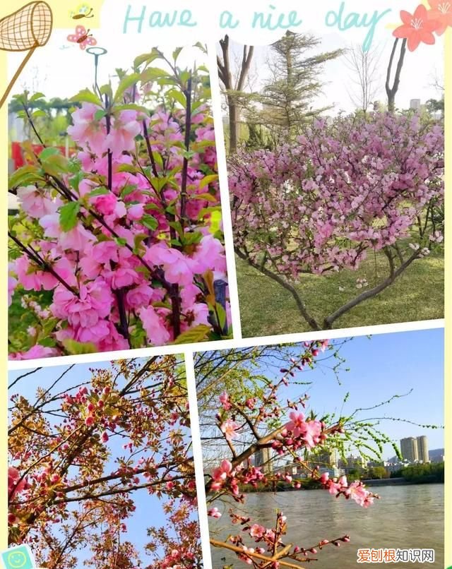 除了五泉山,兰州市的这几个公园你去过吗英语