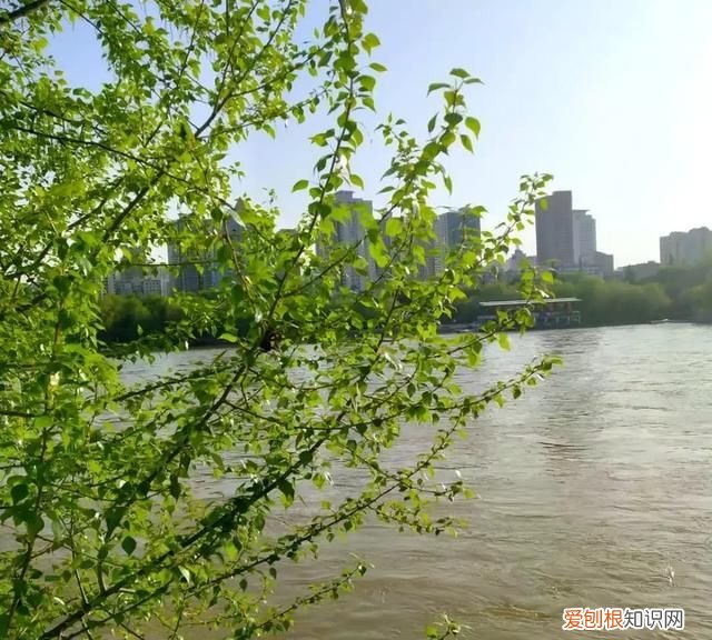 除了五泉山,兰州市的这几个公园你去过吗英语