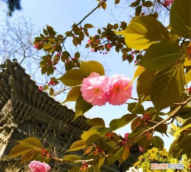 除了五泉山,兰州市的这几个公园你去过吗英语