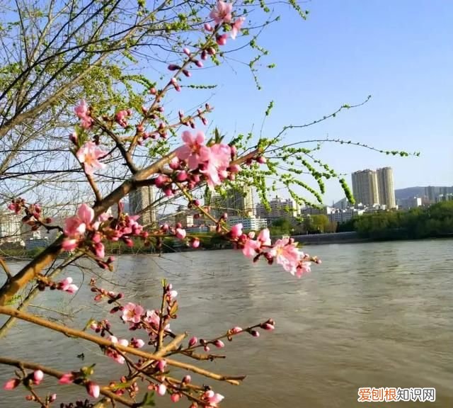 除了五泉山,兰州市的这几个公园你去过吗英语