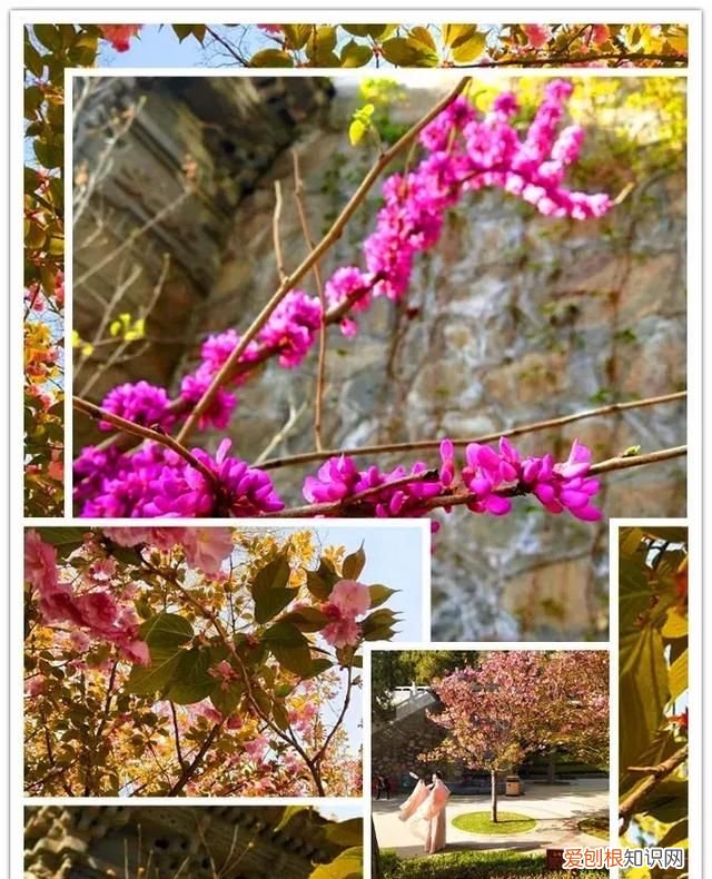 除了五泉山,兰州市的这几个公园你去过吗英语