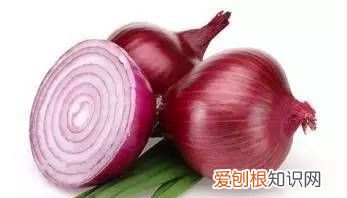 洋葱能放冰箱吗,洋葱能放冰箱存放