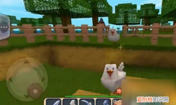 迷你世界怎么养猪，迷你世界怎么喂猪吃小麦