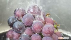 葡萄上的白霜是什么