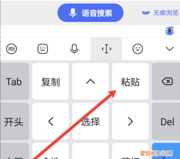 手机怎么复制网址链接，手机浏览器怎么复制网站