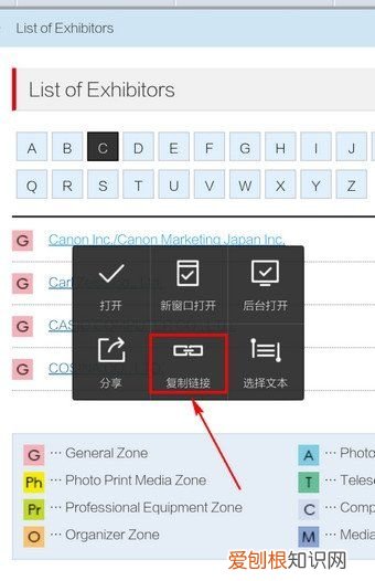 手机怎么复制网址链接,手机浏览器怎么复制网站