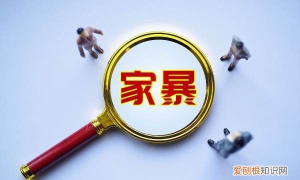 遭受家暴可以找哪些部门,家庭暴力找什么部门解决