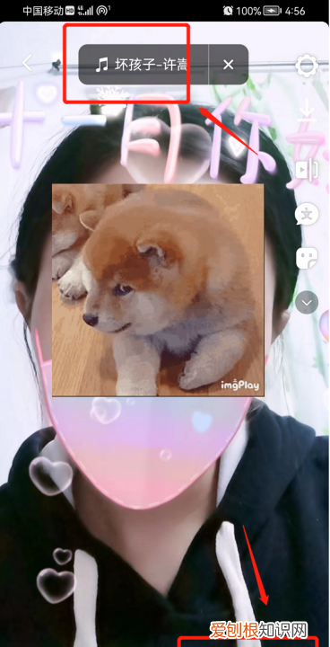 抖音怎么配自己想要的音乐，抖音怎么设置音乐循环播放