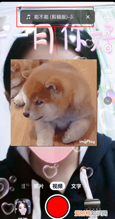 抖音怎么配自己想要的音乐，抖音怎么设置音乐循环播放