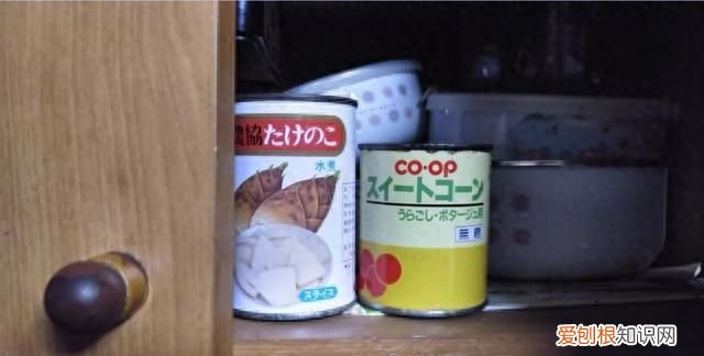 日本网友试吃过期30年罐头,日本各种罐头试吃