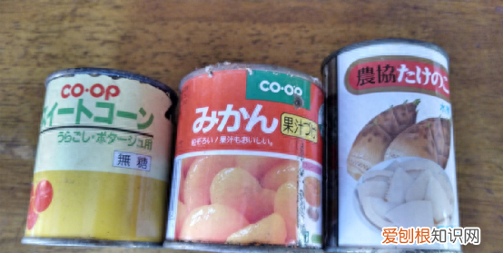 日本网友试吃过期30年罐头,日本各种罐头试吃