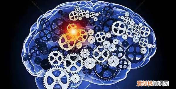 海马效应每个人都有,心理学中的海马是什么