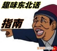 东北话方言句子，东北话山炮是什么意思