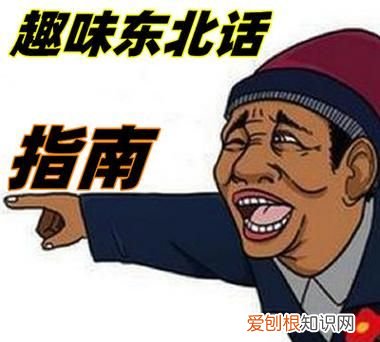 东北话方言句子,东北话山炮是什么意思