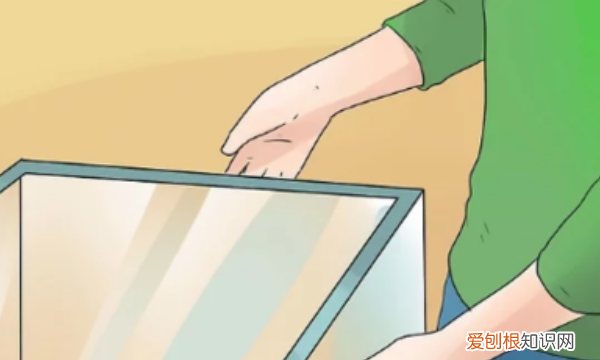 宠物蛙怎么养起来,鱼缸里宠物蛙怎么养