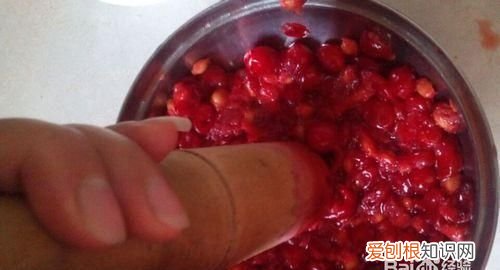 樱桃汁的制作方法,樱桃汁弄到白色衣服上怎么洗