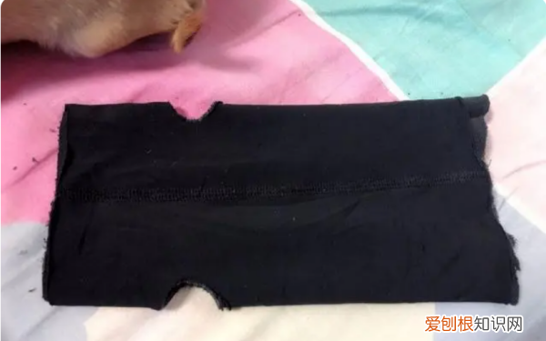 狗狗的衣服怎么做,狗衣服的制作方法教程图解