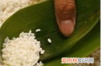 日照粽子怎么包,粽子怎么包的步骤详细文字