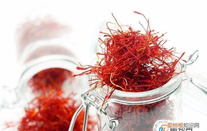藏红花怎么喝,藏红花的功效与食用方法及禁忌