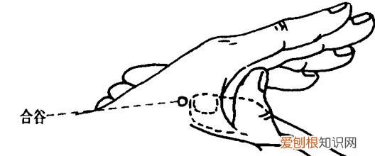 合谷穴位在什么位置，合谷穴和灵骨穴在什么位置