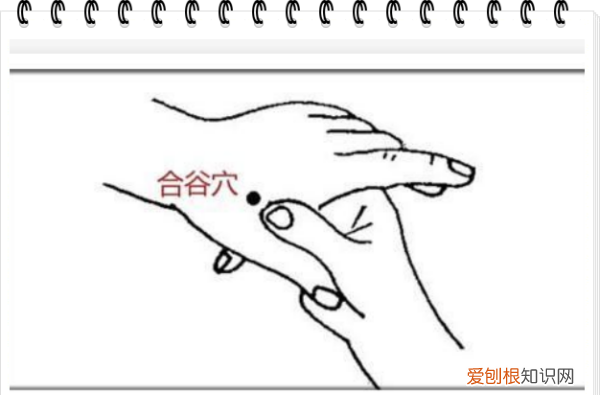 合谷穴位在什么位置，合谷穴和灵骨穴在什么位置