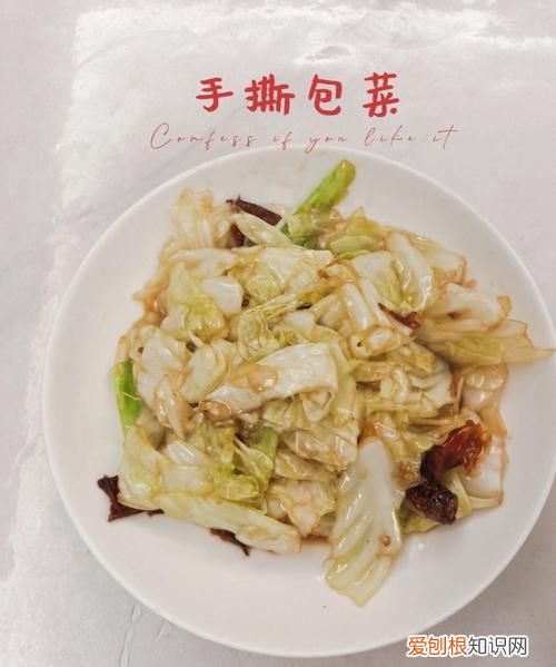 怎么用高压锅煮出美味的圆白菜,如何使用电压力锅煮饭更好吃呢