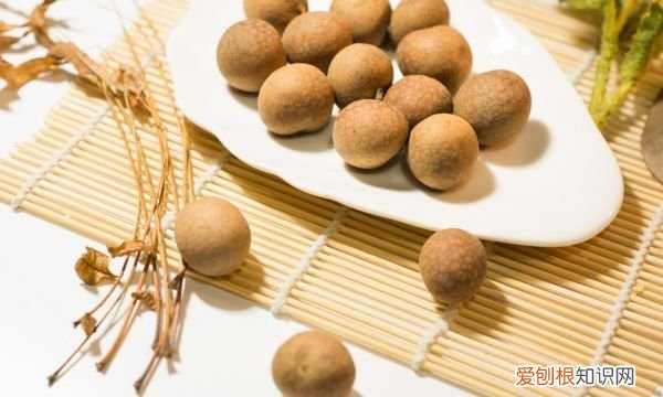 桂圆怎么种植,桂圆子发芽怎么种植