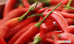 辛辣食物指的是什么，辛辣指的是什么食物?