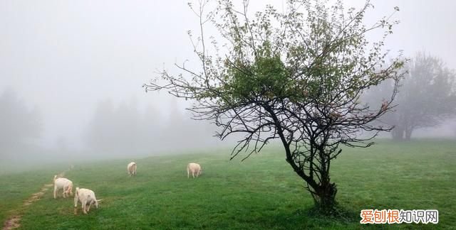 解放碑洪崖洞店 爱上重庆酒店