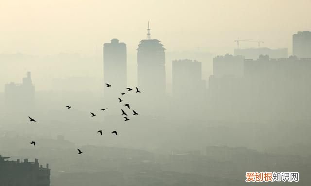 解放碑洪崖洞店 爱上重庆酒店