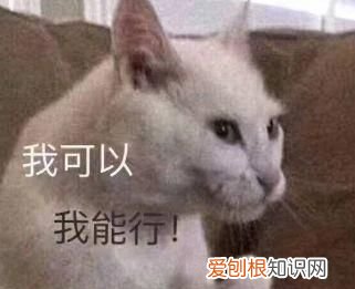 来为医学献身吧!为了留核做实验,高校召集师生吃800斤荔枝