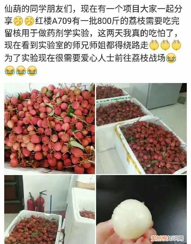 来为医学献身吧！为了留核做实验，高校召集师生吃800斤荔枝
