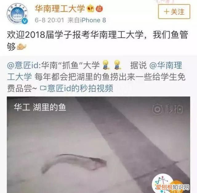 来为医学献身吧！为了留核做实验，高校召集师生吃800斤荔枝