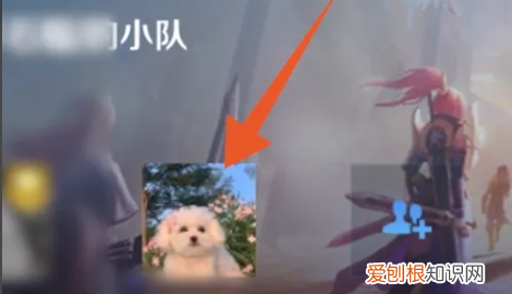 怎么退出王者小队伍，王者小队在哪里退出自己的队伍