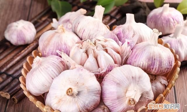 冬季保存大蒜有妙招牢记3个诀窍 大蒜怎样保存久一些时间?