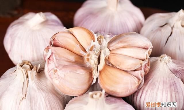 冬季保存大蒜有妙招牢记3个诀窍 大蒜怎样保存久一些时间?